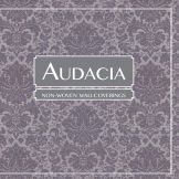 Audacia